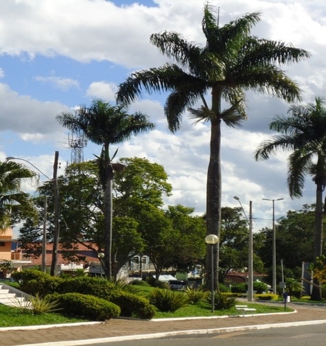 Contabilidade com atendimento consultivo e o melhor custo benefício