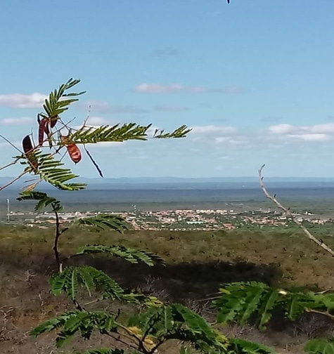 Contabilidade com atendimento consultivo e o melhor custo benefício