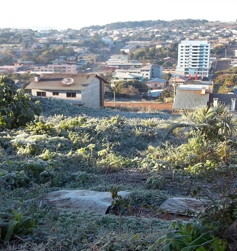 Contabilidade com atendimento consultivo e o melhor custo benefício