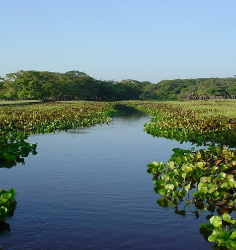 Contabilidade com atendimento consultivo e o melhor custo benefício