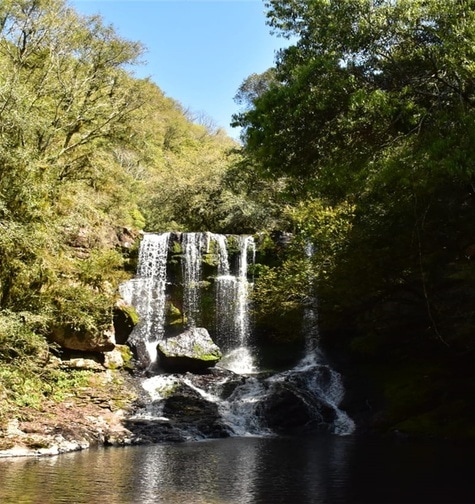 Contabilidade com atendimento consultivo e o melhor custo benefício