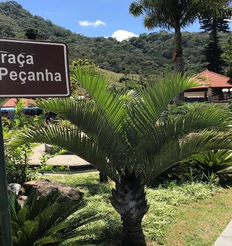 Contabilidade com atendimento consultivo e o melhor custo benefício