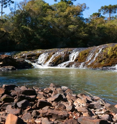Contabilidade com atendimento consultivo e o melhor custo benefício