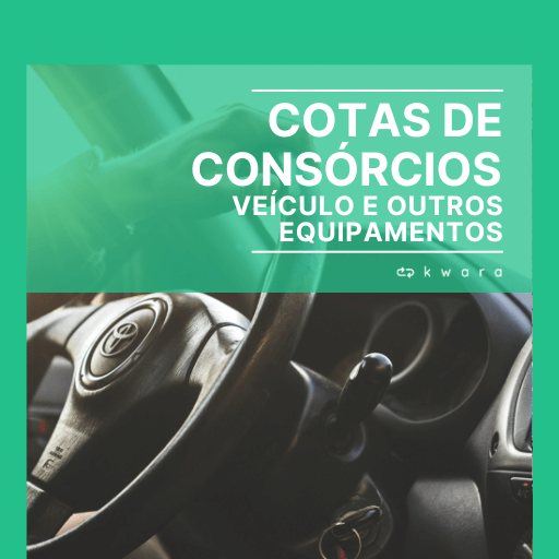 Imagem ilustrativa dos itens do lote