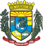 Logo da entidade Município de Capão do Cipó