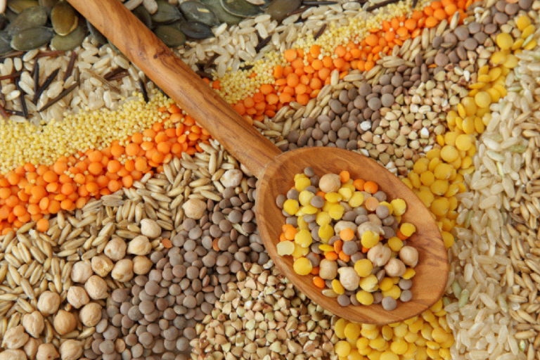 Reflexão do evangelho: Jesus e a fome do povo