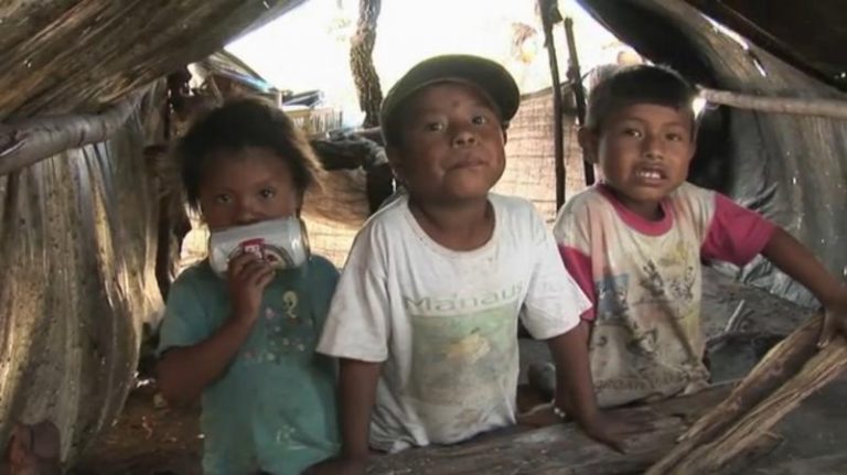 Etanol: combustível limpo ou extermínio dos povos indígenas