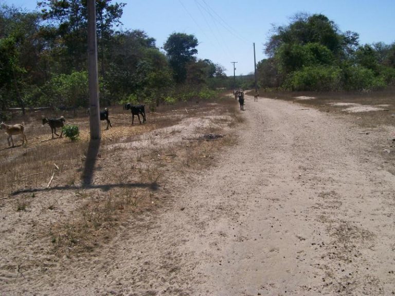 Seca no Nordeste: como a Bíblia pode ajudar?