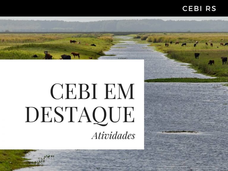 CEBI-RS: Eleição da nova coordenação e os debates sobre a Casa Comum