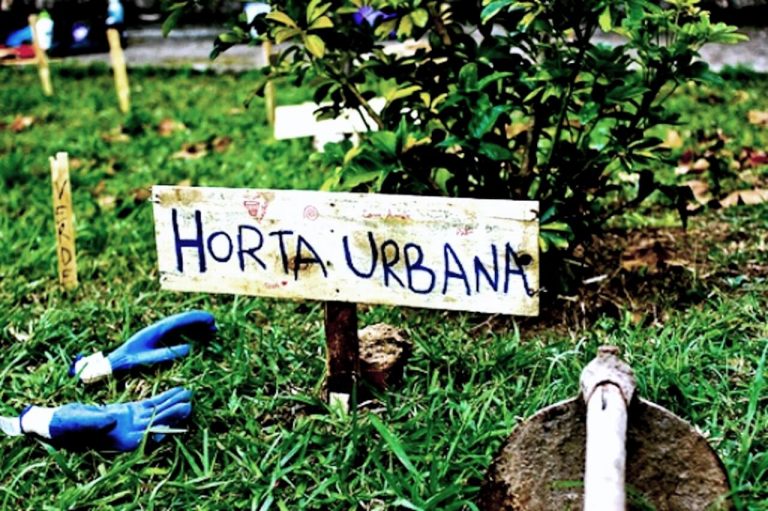 CEBI-SC Permacultura na cidade: “Os medos de hoje são urbanos”