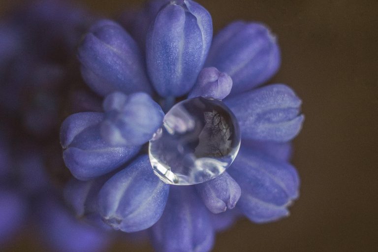 Literatura Sapiencial, a Sabedoria de Deus na Vida do Povo