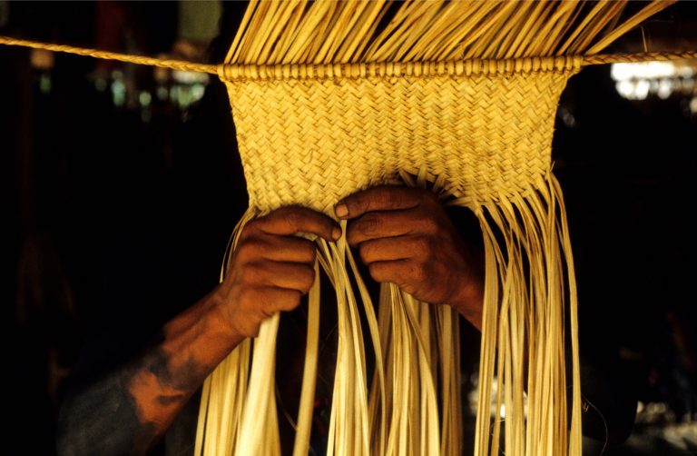 Para salvar a humanidade do desastre: “o bem viver”