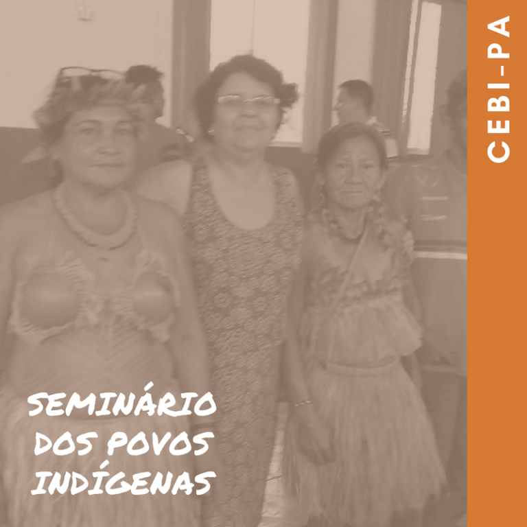 CEBI-PA Em sintonia e apoio aos povos indígenas do Baixo Tapajós e Arapiuns