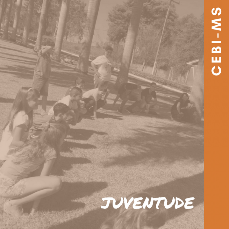 CEBI-MS Ensino confirmatório inclui visitas a comunidades de periferia