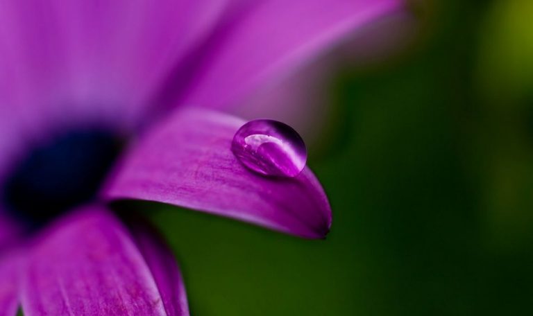 Eu te louvo, Pai, porque escondeste essas coisas aos sábios e inteligentes, e as revelaste aos pequeninos (Mt 11,25-30) [Tomaz Hughes]