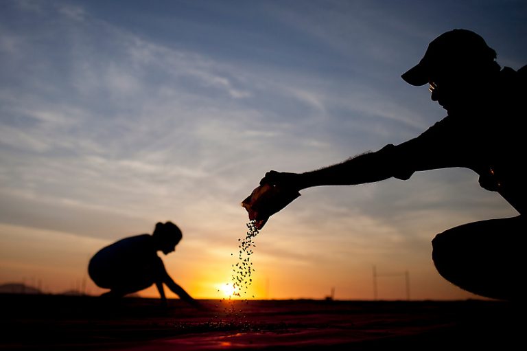 Semear [José Antonio Pagola]