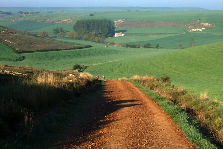 O Senhor é presença e companhia em todas as travessias (Mt 14,22-33) [Itacir Brassiani – msf]