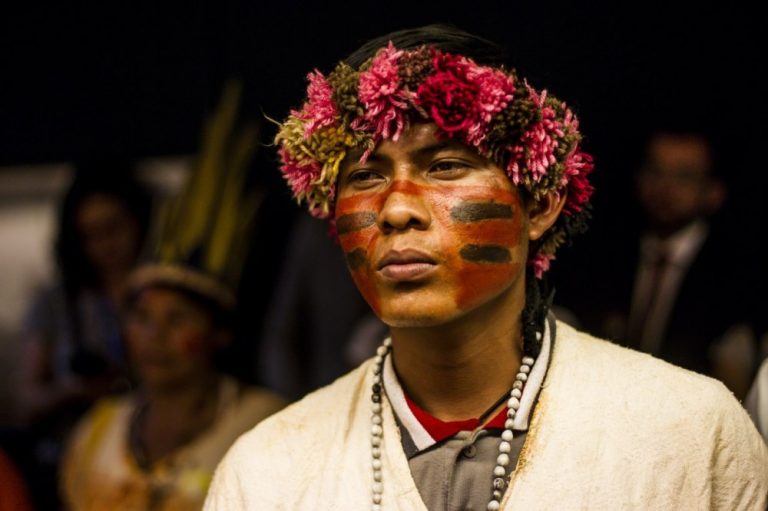 Indígenas na Câmara dos Deputados. Foto: Mídia Ninja