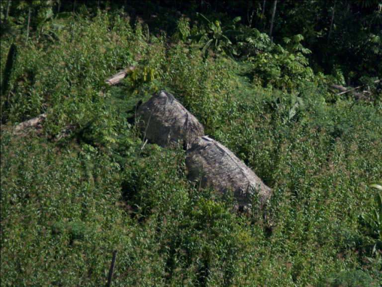 Massacre de índios isolados pode ter sido a maior tragédia indígena das últimas décadas