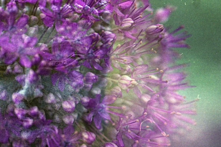 Reflexão do Evangelho: Quem faz a vontade de Deus