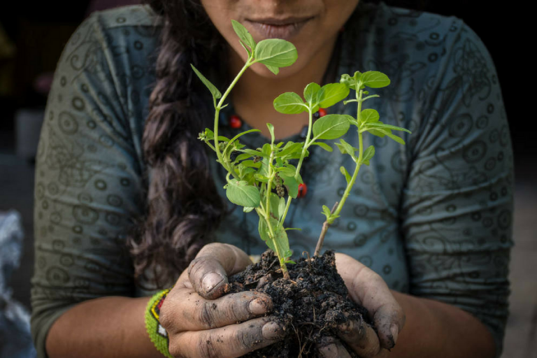 Agroecologia popular e camponesa: a chave para acabar com a fome no mundo