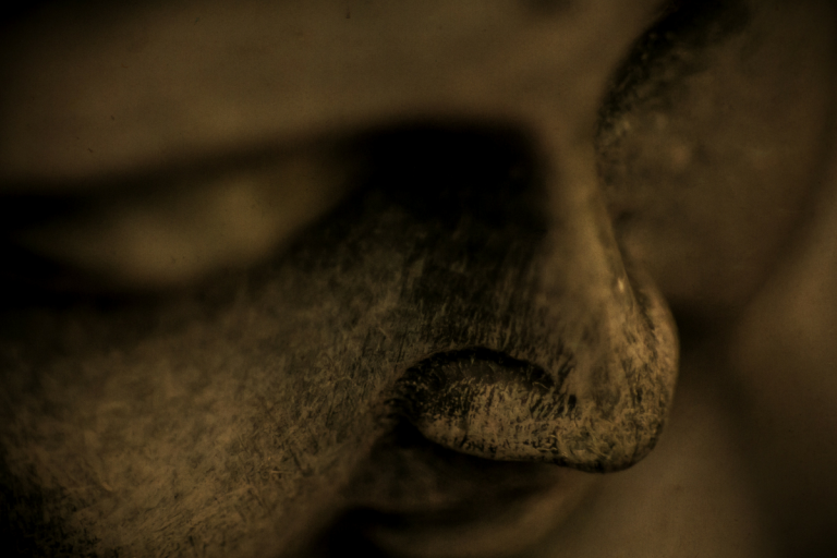 Coisas boas para conhecer e respeitar em outras religiões