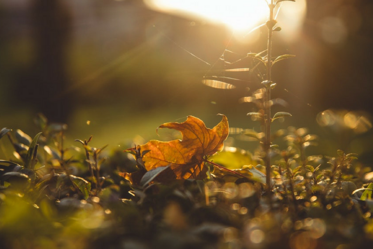 Tu tens palavras de vida eterna