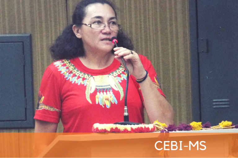 CEBI-MS: Seminário aborda a superação da violência contra os povos indígenas