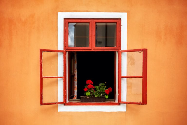 Reflexão do Evangelho: Encontrar-se na própria casa