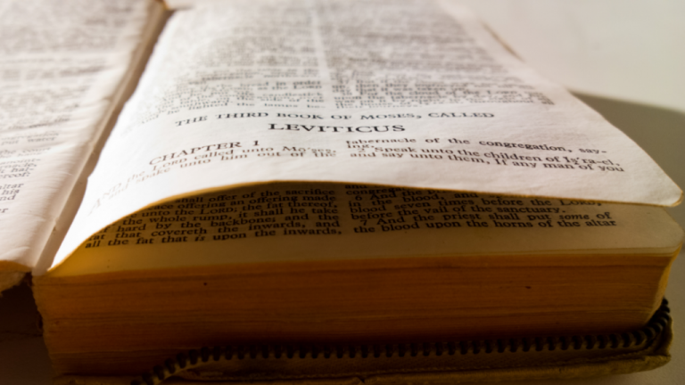 Santidade no tempo de Covid-19