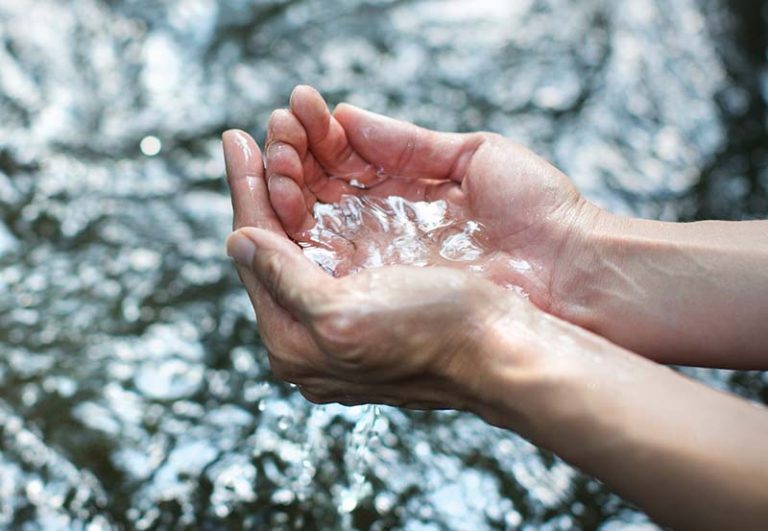 Festa do batismo do Senhor