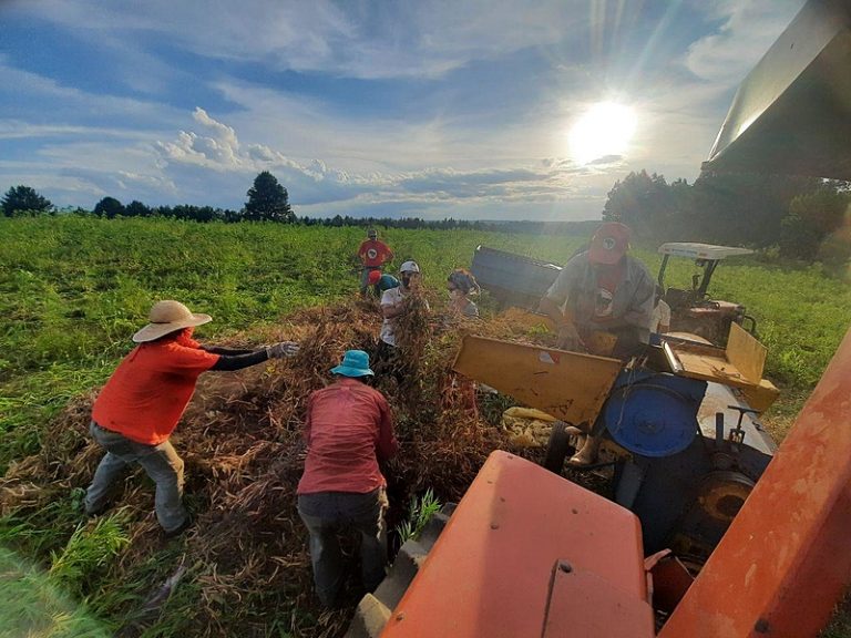 Declaração da ONU sobre direitos da população camponesa será lançada quinta-feira, 18