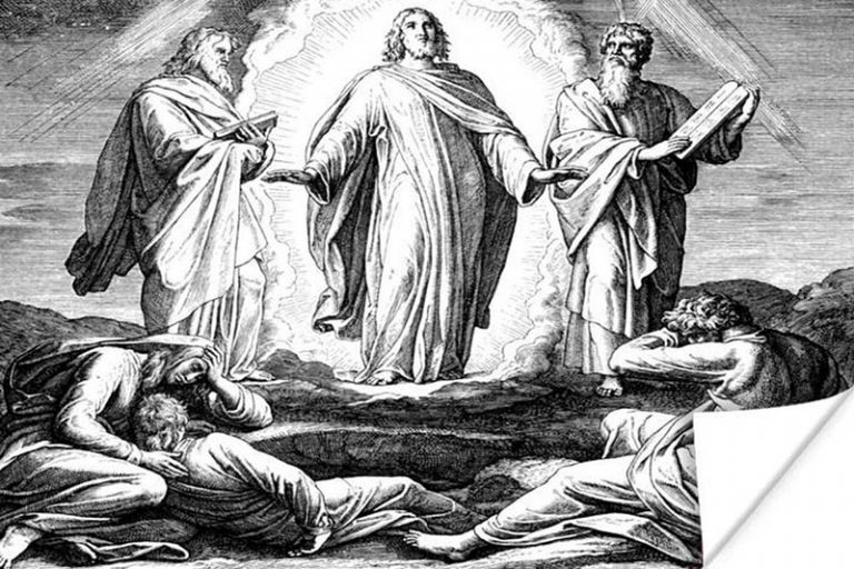 Escutemos o que ele nos diz: “Vocês são todos irmãos e irmãs”