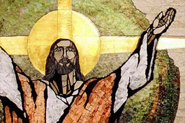 Para gerar fraternidade e paz precisamos amar o mundo!