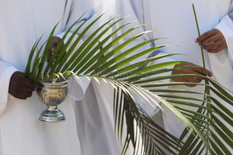 Jesus, humilde e servidor, é exemplo e caminho para a igreja!