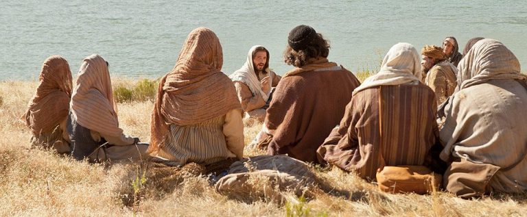 A Vida que se esconde no pequeno