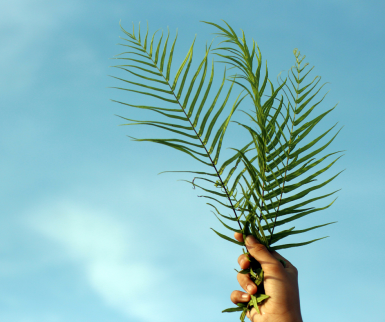 Jesus Não Está a Cima, mas Próximo e a Serviço de Todos!