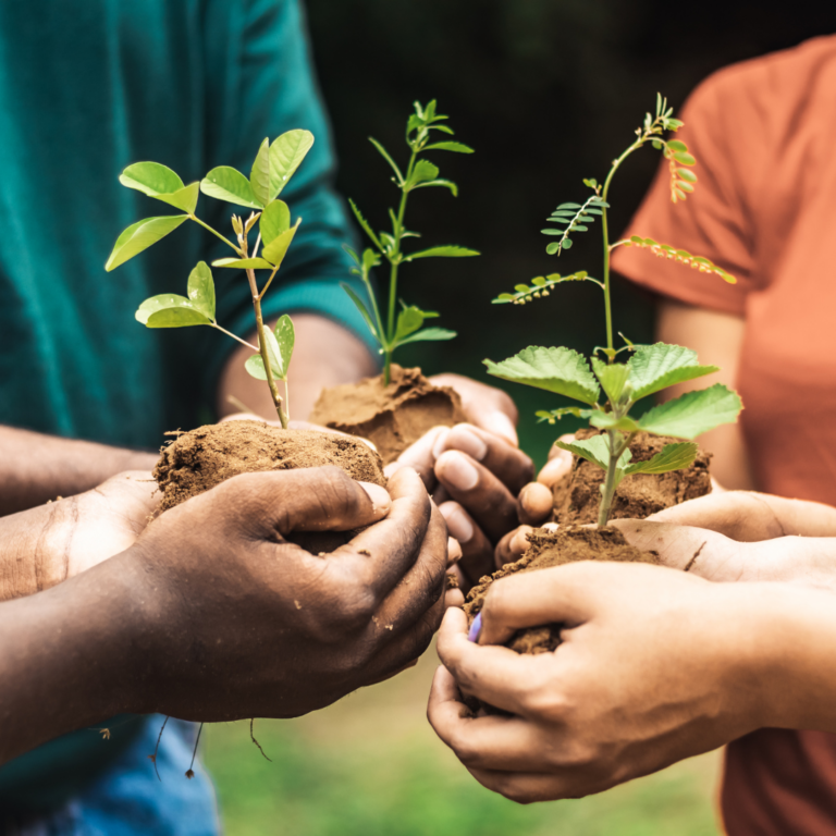 Comunidade de Fé: Vivendo o Comum no Jesus de Nazaré