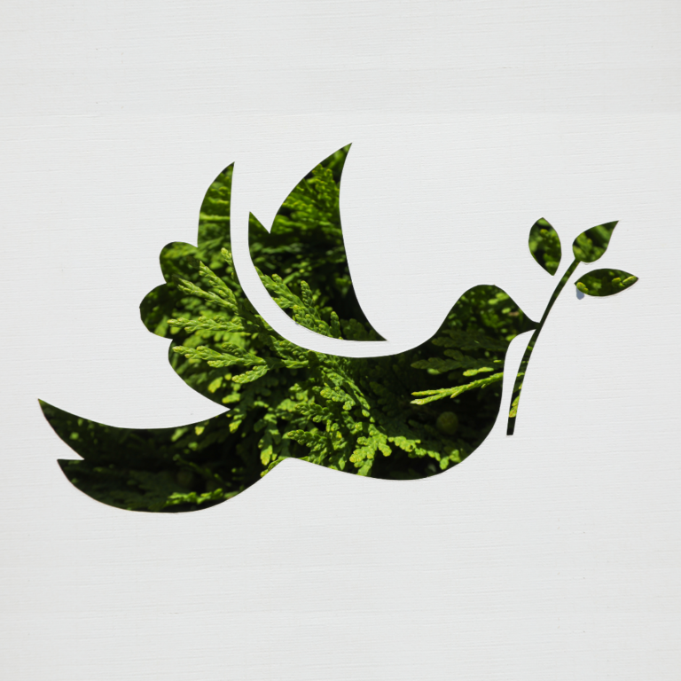 Um mundo em guerra e o desafio da Paz