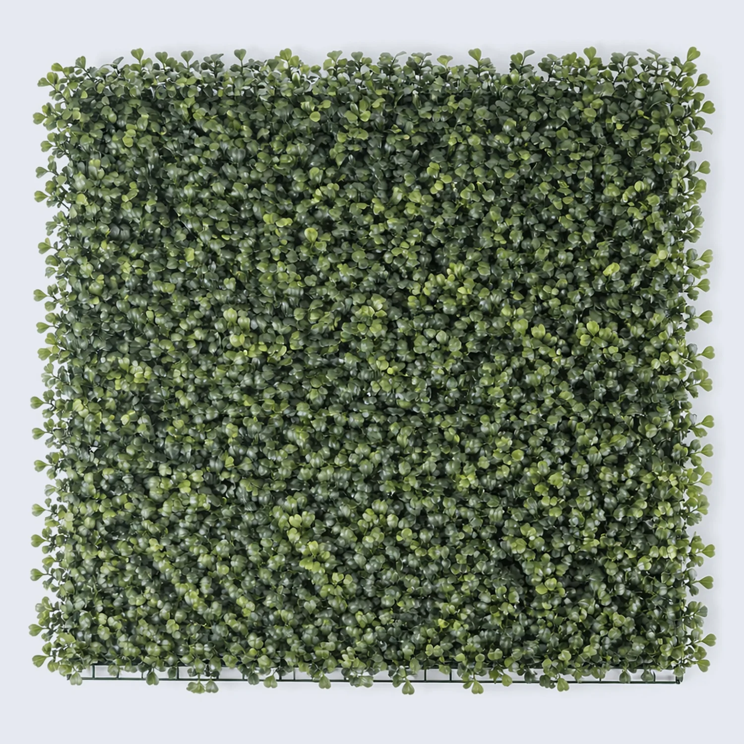 product_image_5857