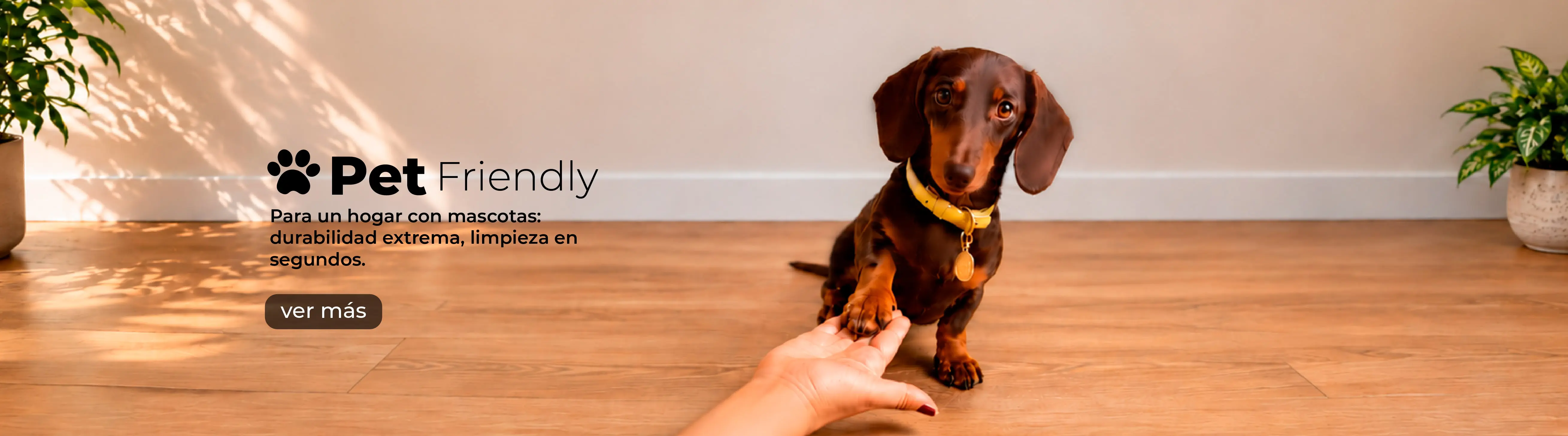 pet friendly-chc-mascotas en chc.cl