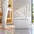 thumbnail - Smart Toilet Stern Vertical 30 cm