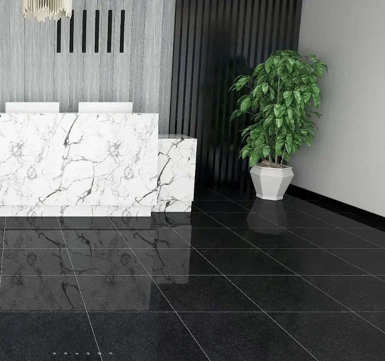 Porcelanato Todo Masa Teig Antracita Pulido 60x60