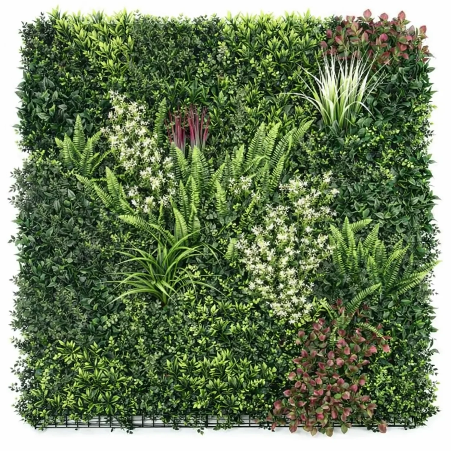product_image_5858