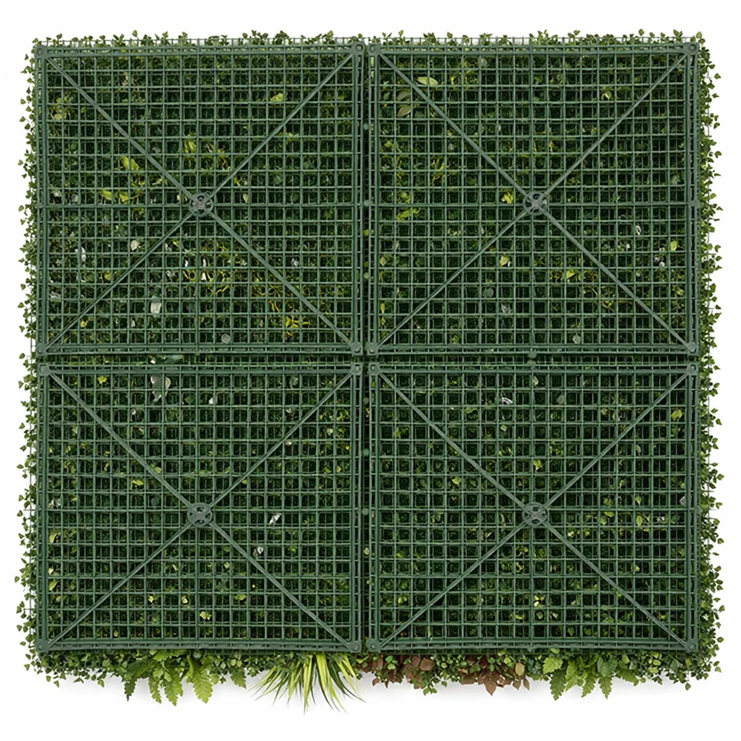 product_image_5858