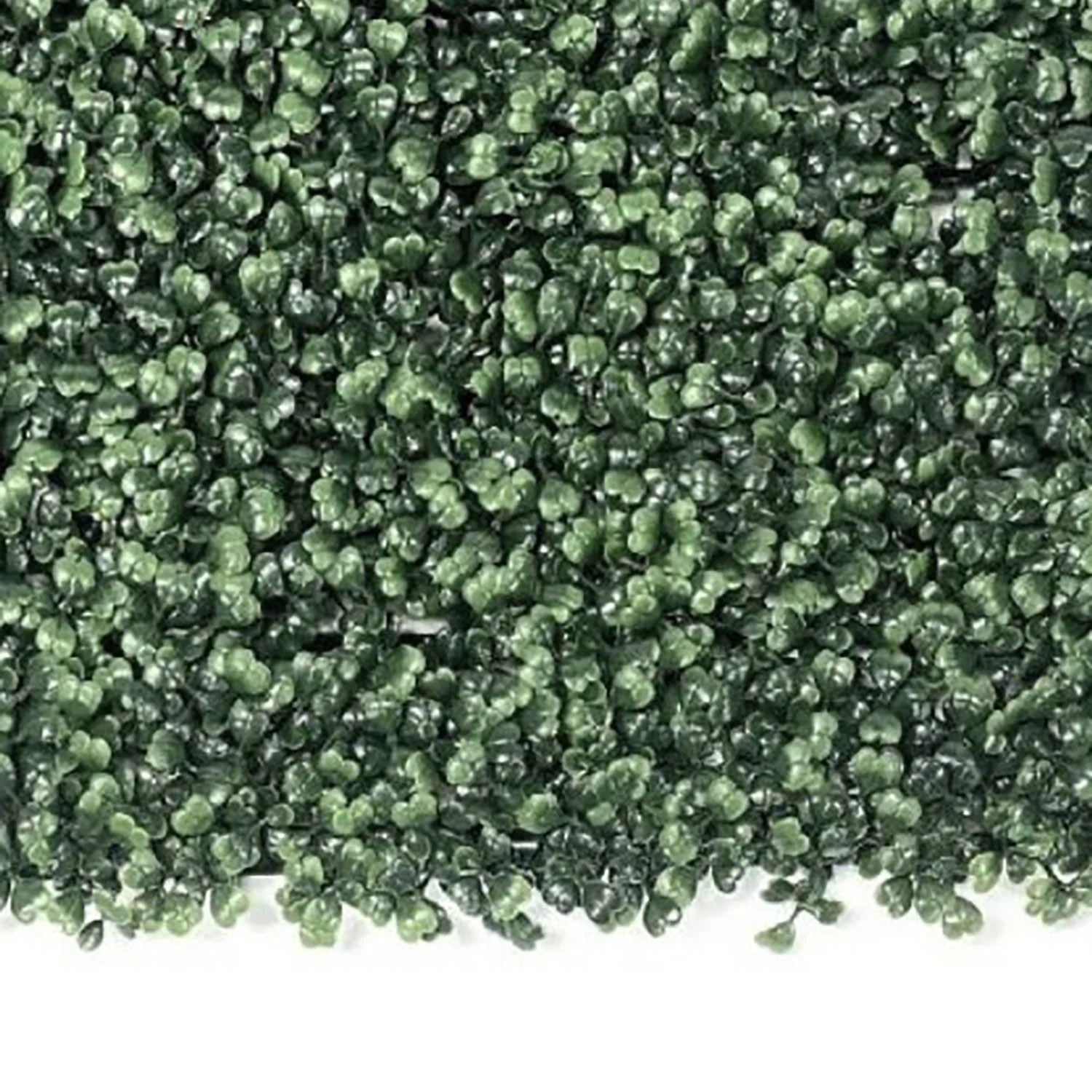 product_image_5857