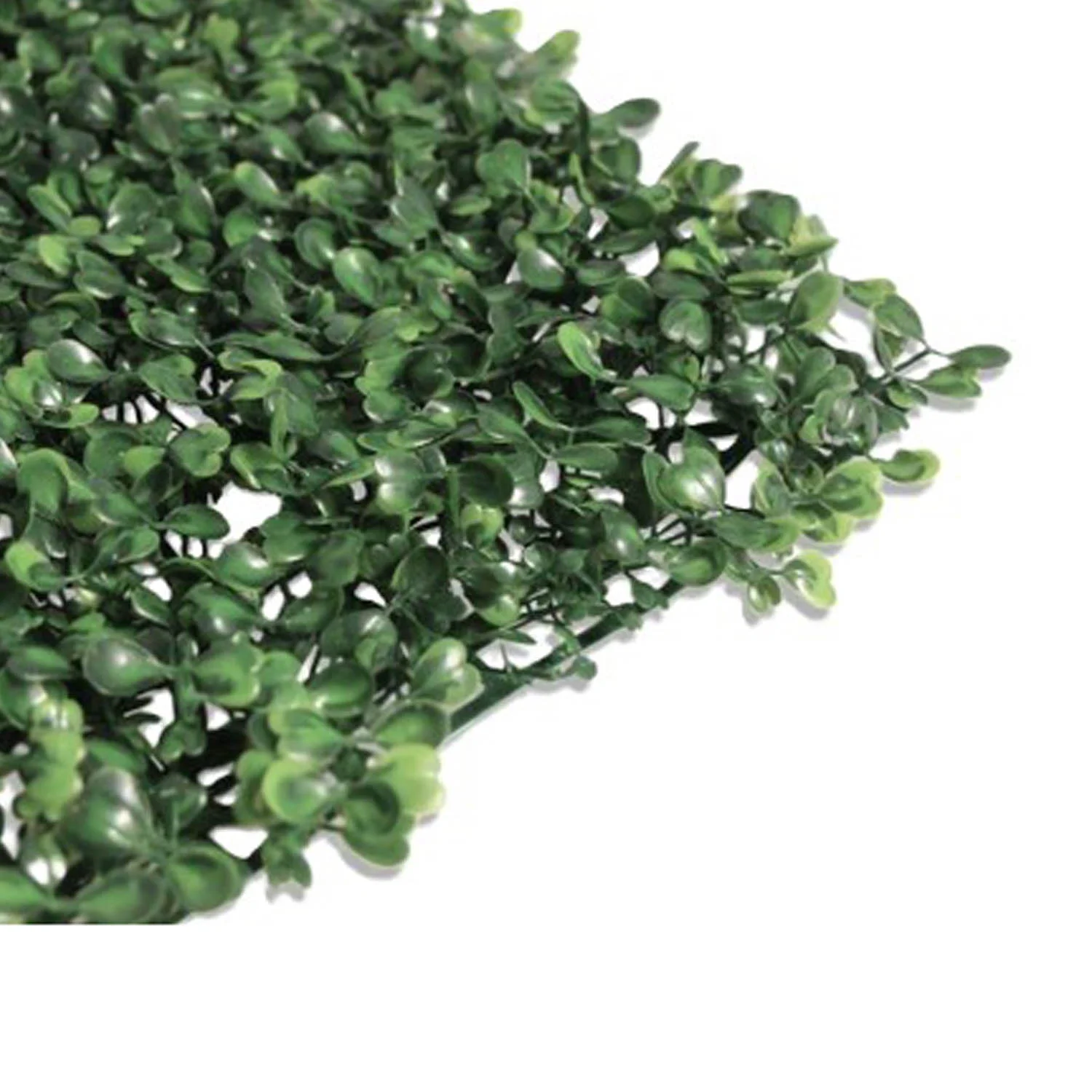 product_image_5857