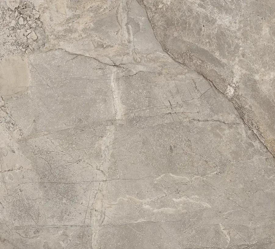 Porcelanato Técnico Flor di Bosco Natural 60x120