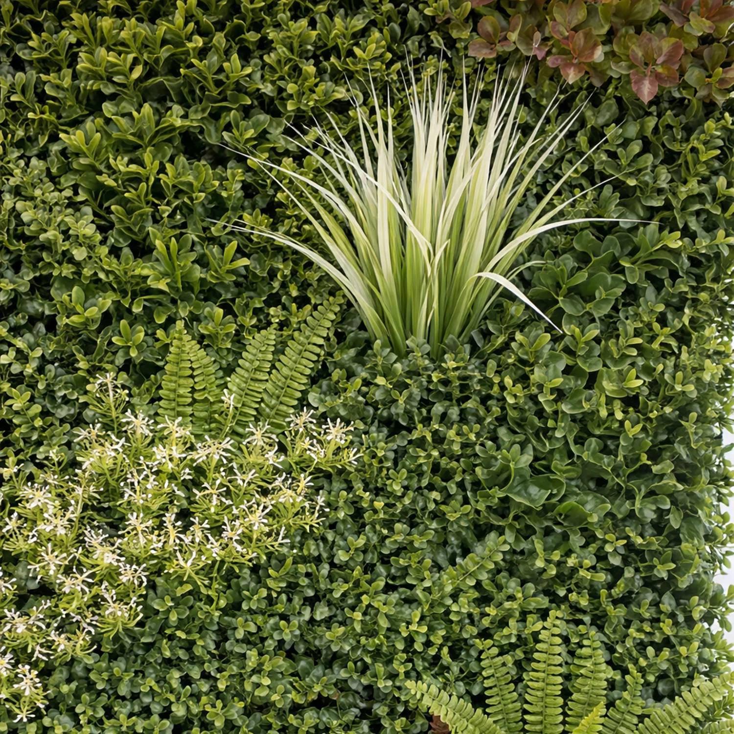 product_image_5858
