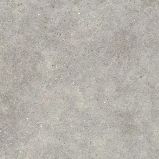 Gres Porcelánico Halle Gris Claro Mate 30x60